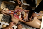 Самарские ученые разработали виртуальный анатомический стол и 3D-атлас для обучения врачей