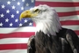 Экс-разведчик армии заявил об использовании США  слова «демократия» для оправдания своих действий
