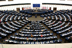 Выборы в Европейский парламент