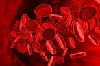 Ученые создали красные кровяные тельца, которые смогут заменить донорскую кровь