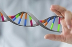 Ученые создали универсальный наношприц для ввода ДНК в живые клетки