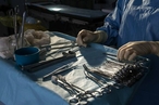 В ЛНР заявили, что к «черным» трансплантологам на Украину отправляют до тридцати раненых в день