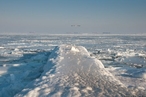 Ученые впервые нашли бактерии в полярных льдах и снегах