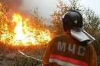 Уральские ученые разработали мину-огнетушитель для борьбы с лесными пожарами