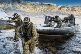 Расчетливый «Страж»: новые планы НАТО в Арктике