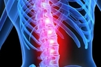 Российские ученые разработали метод восстановления поврежденного спинного мозга