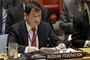 Полянский заявил об оказании давления со стороны Запада на членов СБ ООН