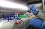 Ученый из России готовится к испытаниям в США вакцины от вируса Эбола