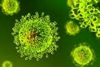 Коронавирус – глобальный вызов мировой науке